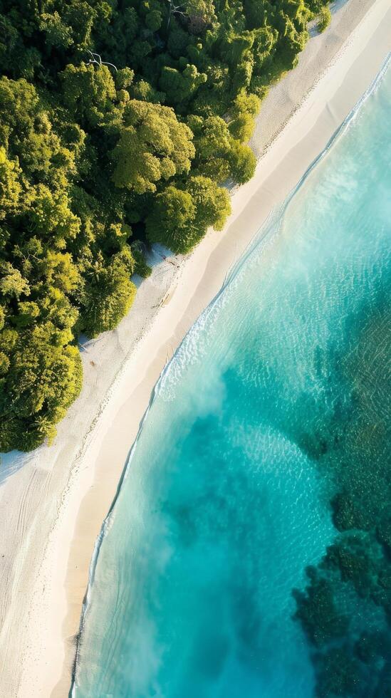 Aerial View of Tropical Beach photo