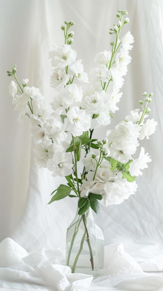 Ethereal White Delphinium Flowers photo