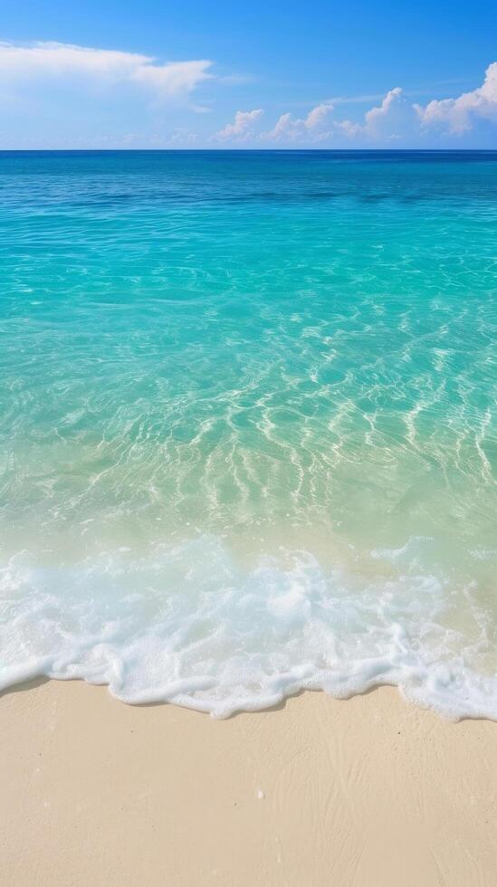 Tropical Paradise Aerial Beach View photo