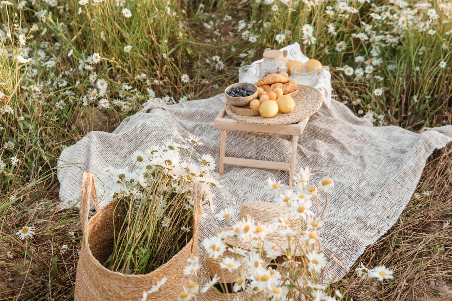 Picnic in the chamomile field. A large field of flowering daisies. The concept of outdoor recreation. photo