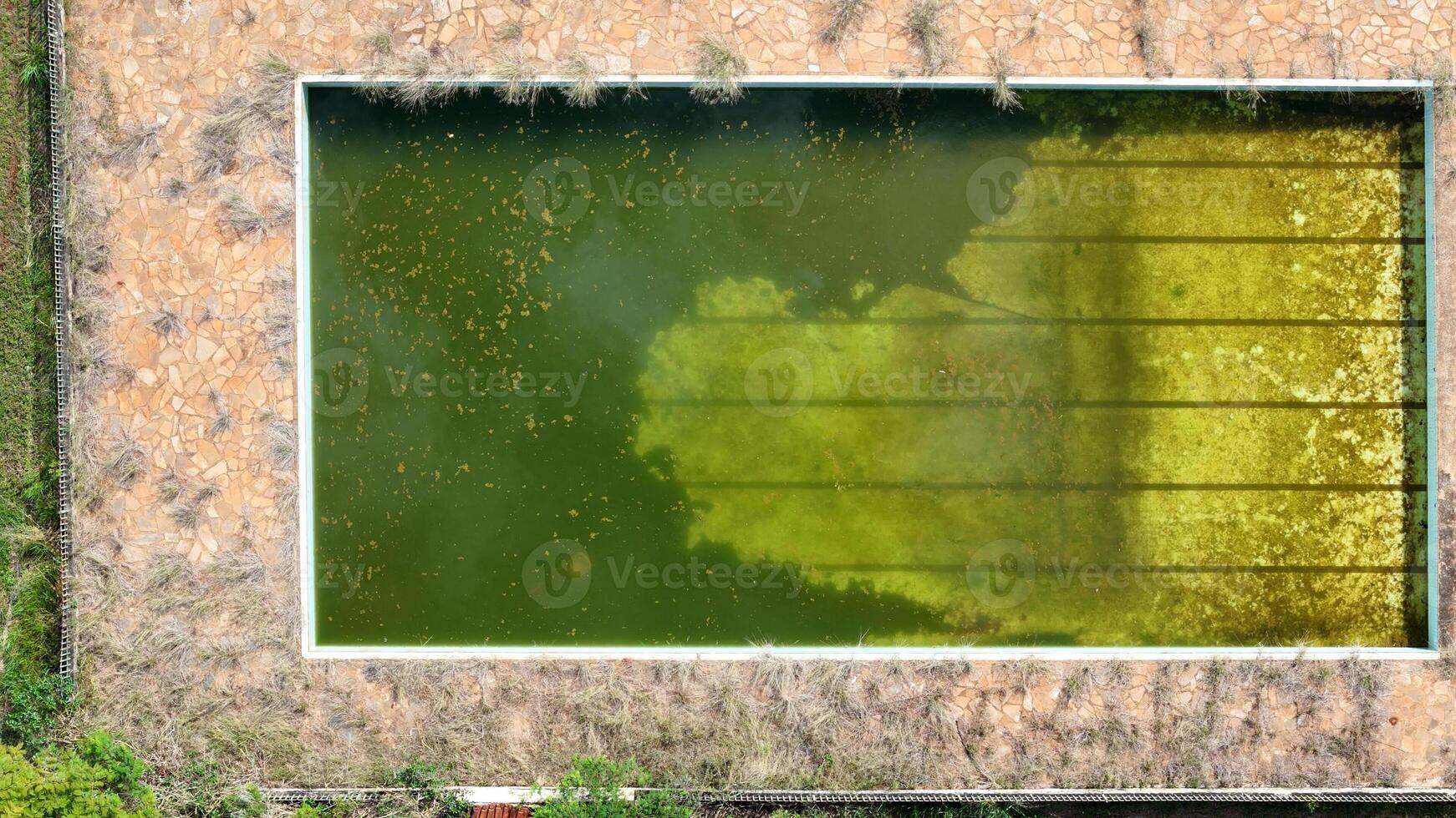 abandonado nadando piscina con verde sucio agua foto