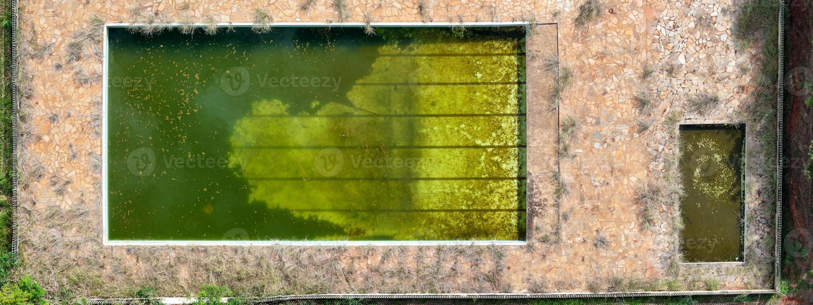 abandonado nadando piscina con verde sucio agua foto