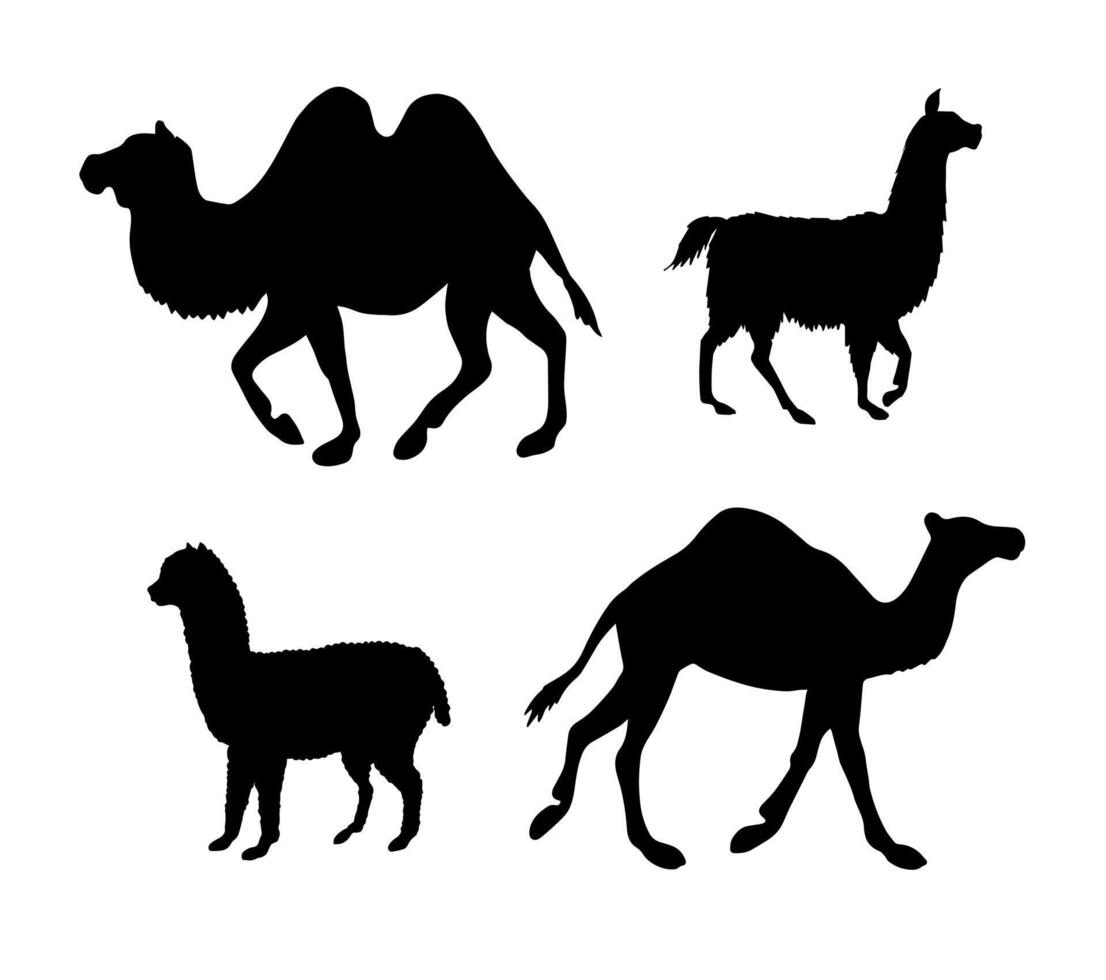 conjunto de mano dibujado llamas y camello silueta vector