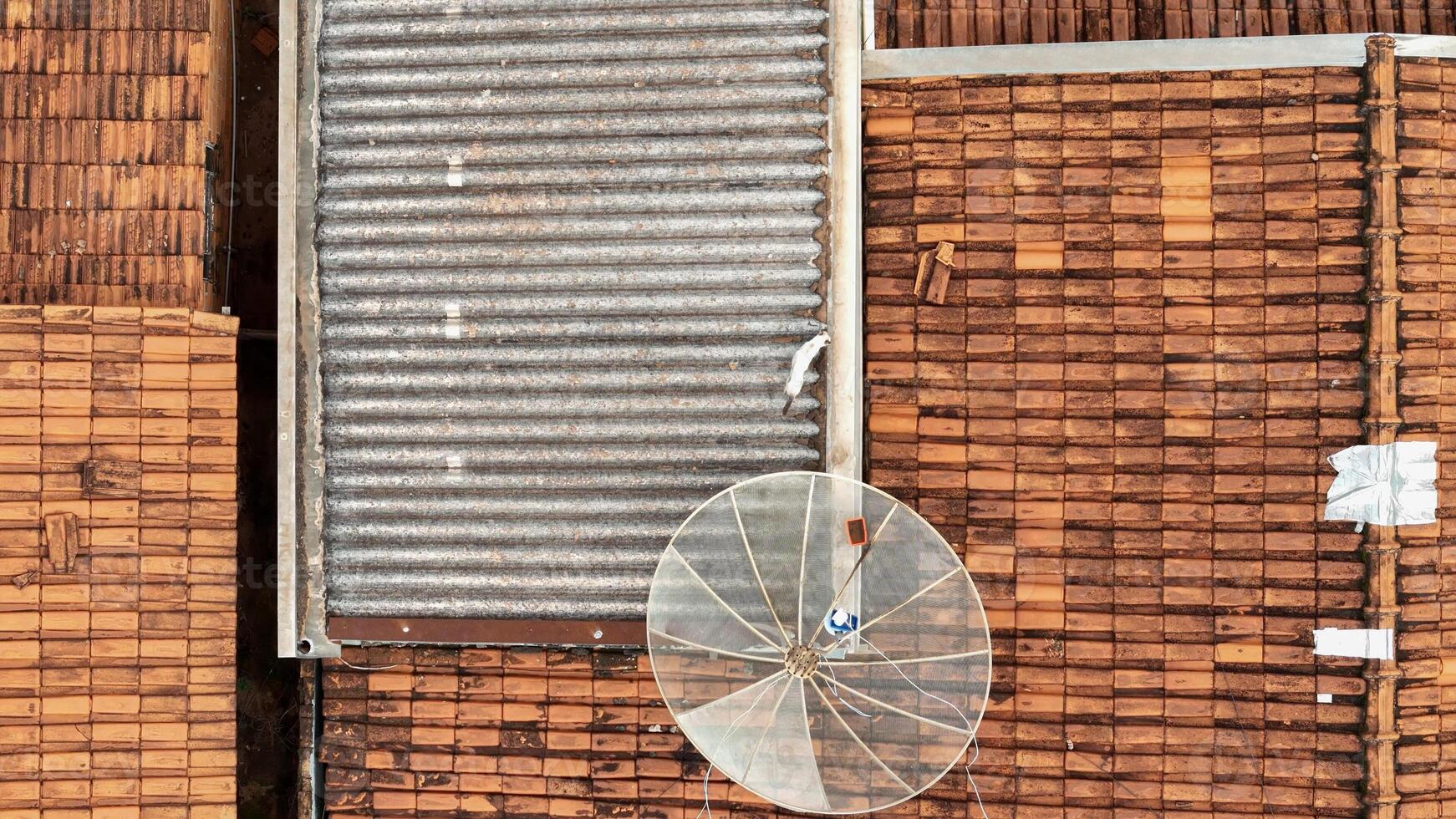 cat on house roof photo