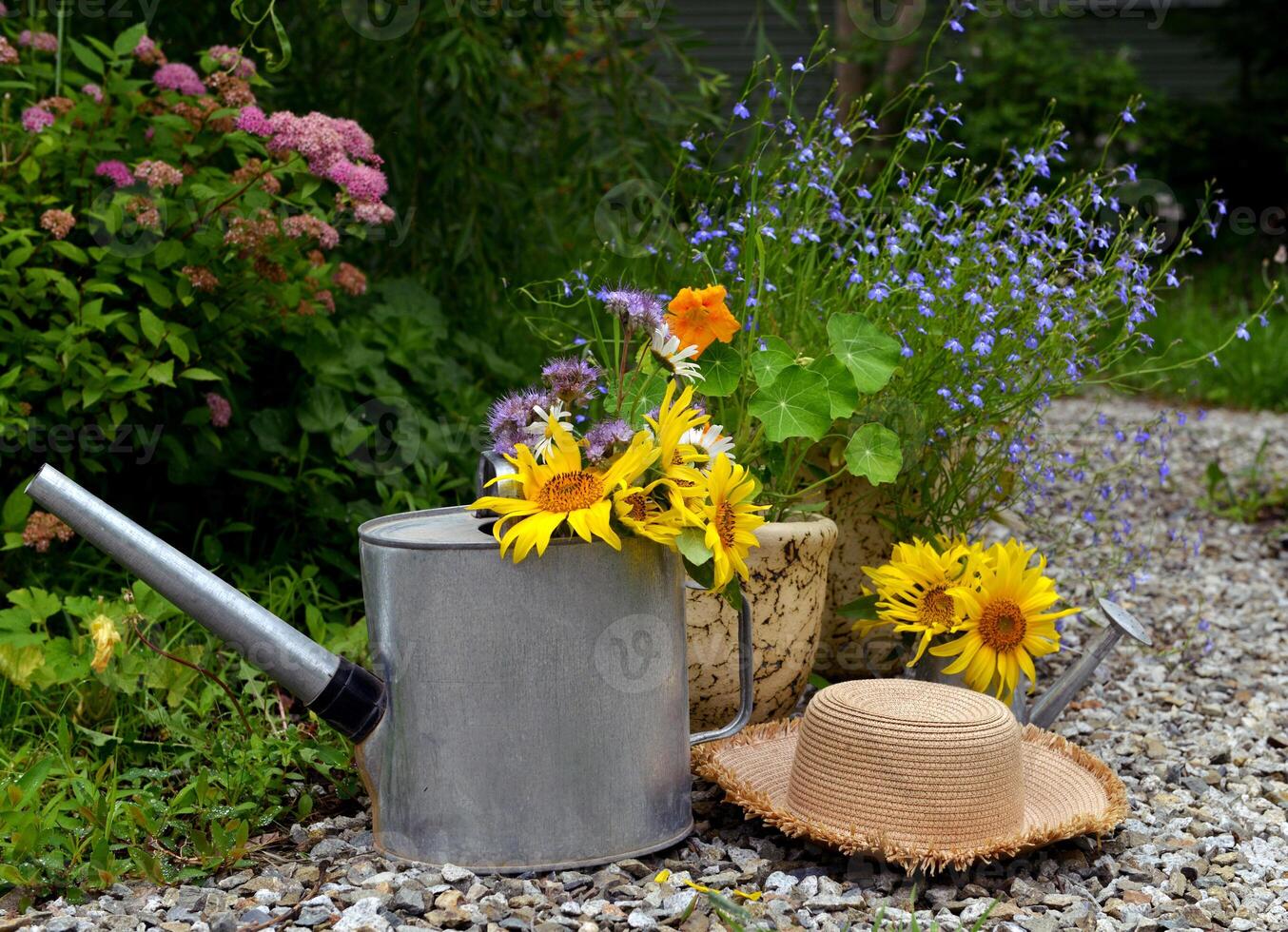 Beautiful still life with sunflowers, watering can and hat in the garden. Romantic greeting card for birthday, Valentines, Mothers Day concept. Summer countryside background with vintage objects photo