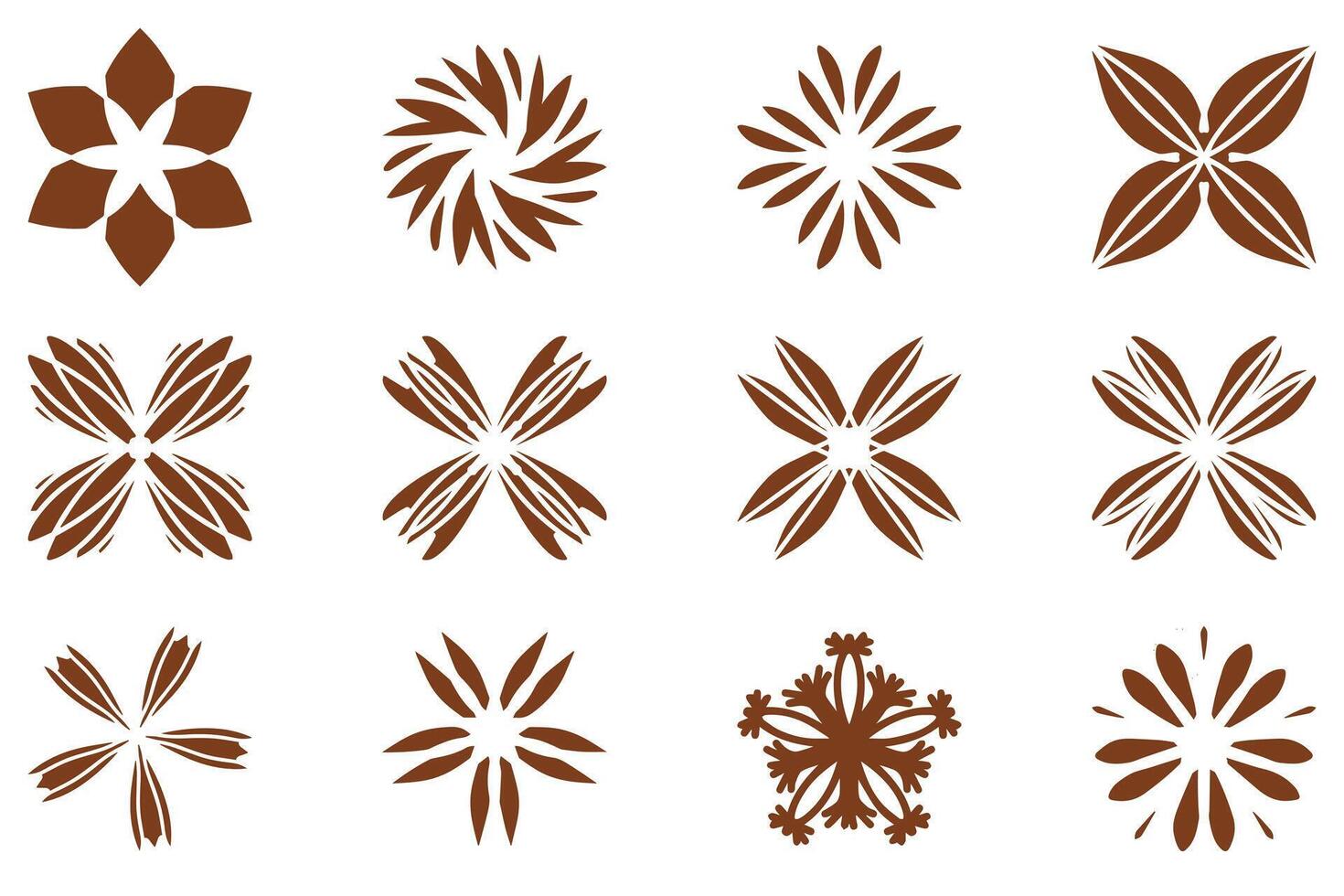 Botanical flower design set. Decorative floral vector