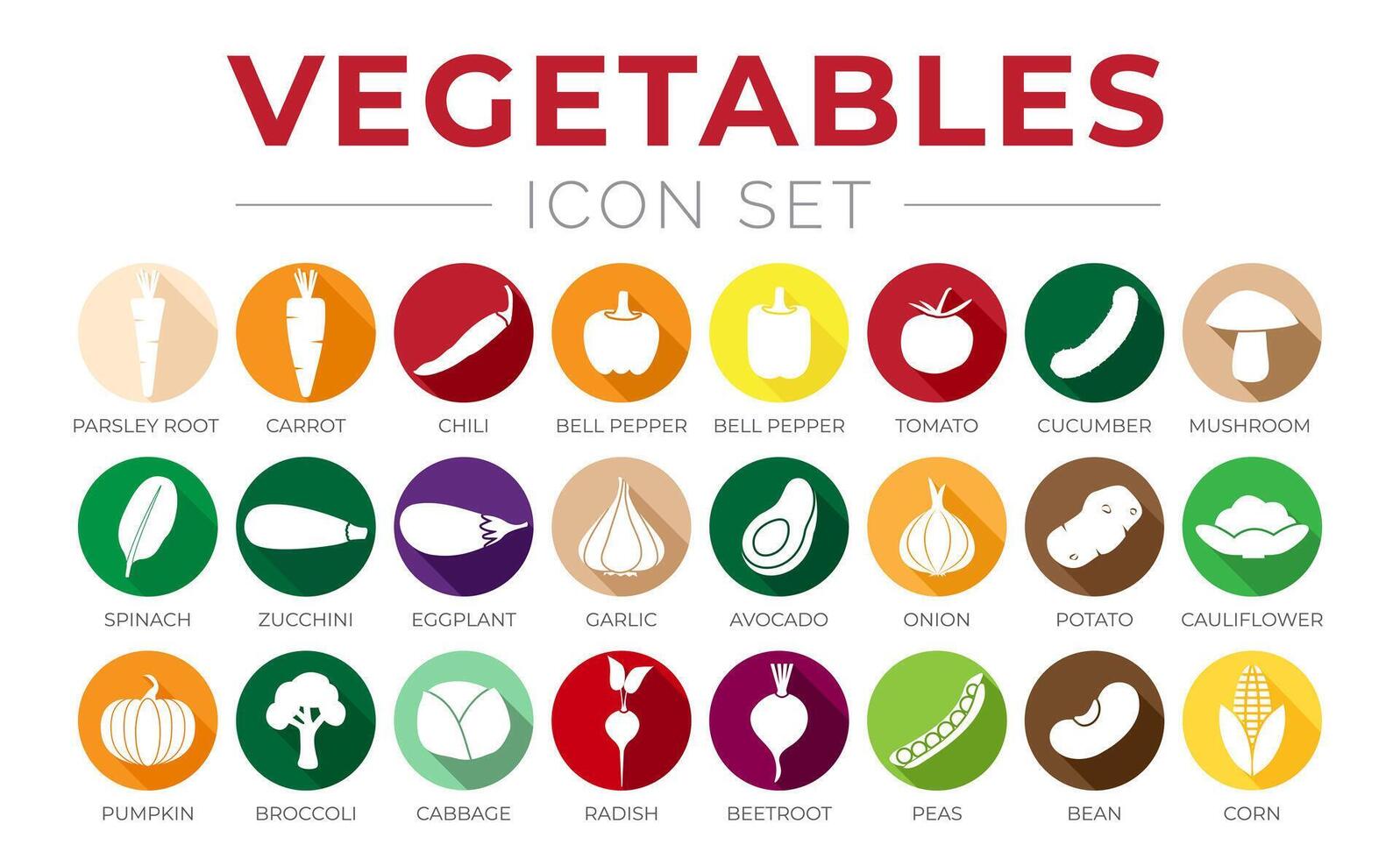 Colorful Vegetables Round Icon Set Chilli, Mushroom, Spinach, Zucchini, Eggplant, Garlic, Onion, Potato, Tomato, Cauliflower, Pumpkin, Broccoli, Cabbage, Radish, Beetroot, Peas, Bean, Corn Icons. vector