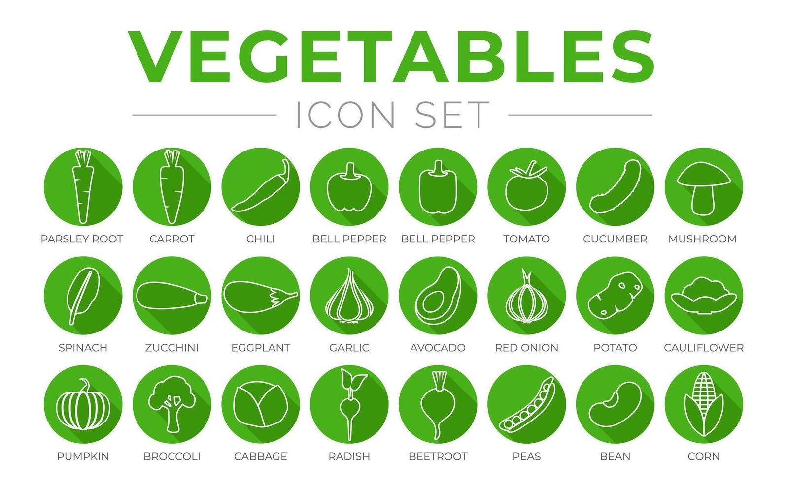 Green Vegetables Round Outline Icon Set of Parsey Root, Carrot, Chilli, Paprika, Pepper, Tomato, Cucumber, Mushroom, Spinach, Zucchini, Eggplant, Garlic, Onion, Potato, Tomato, Cauliflower, Bean vector