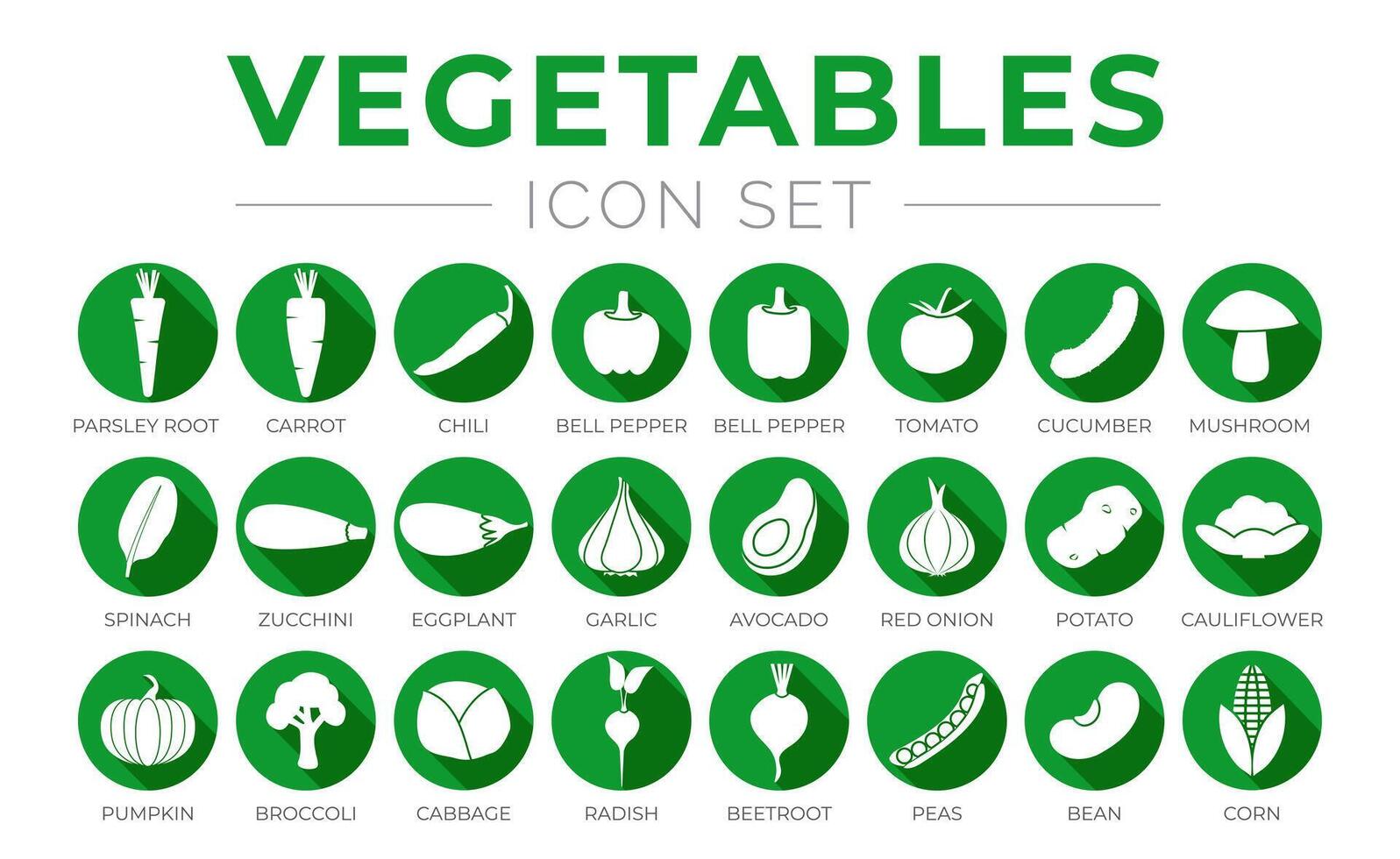 Green Vegetables Flat Round Icon Set of Parsey Root, Carrot, Chilli, Paprika, Pepper, Tomato, Cucumber, Mushroom, Garlic, Onion, Avocado, Cauliflower, Cabbage, Radish, Beetroot, Peas, Bean, C vector