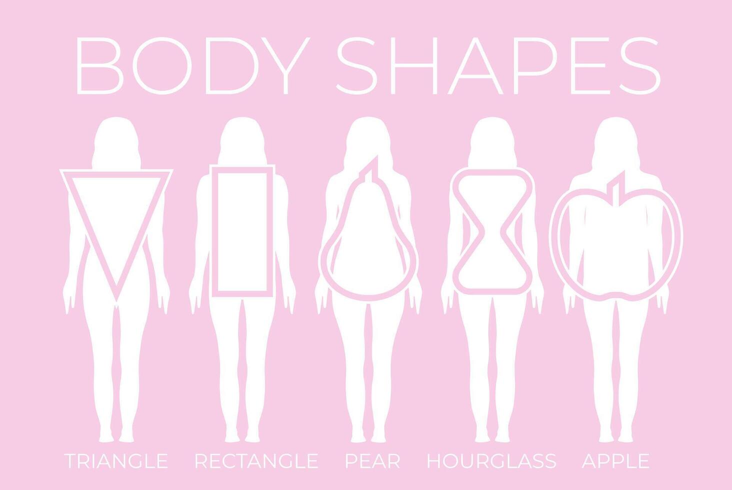 Woman Body Shapes Triangle, Rectangle, Apple, Pear and Hourglass vector