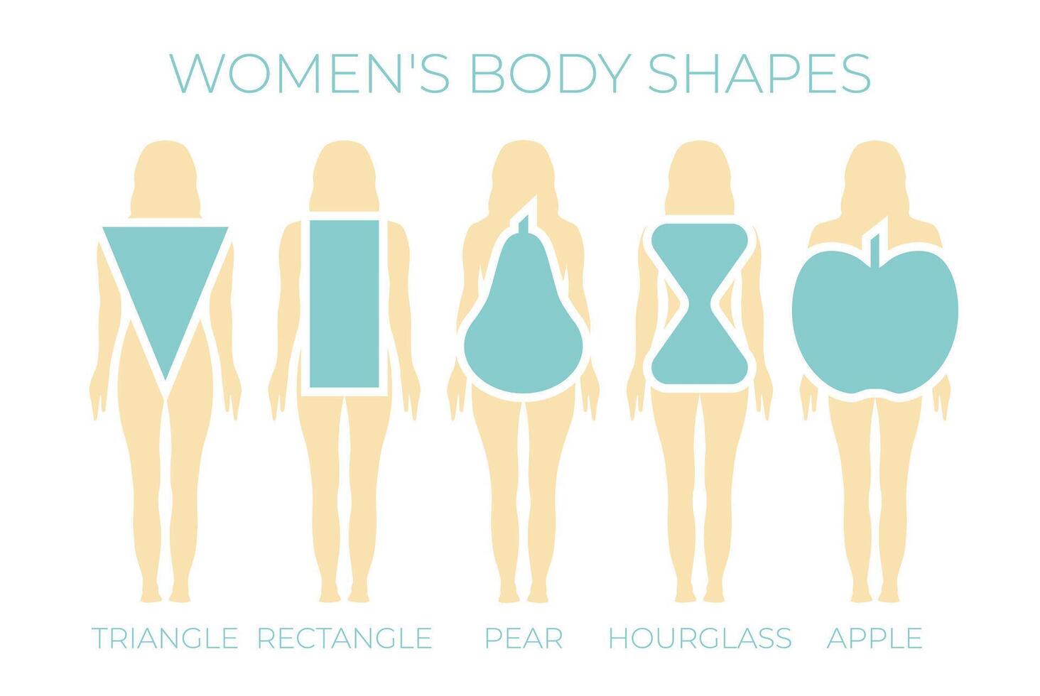 Woman Body Shapes Triangle, Rectangle, Apple, Pear and Hourglass vector