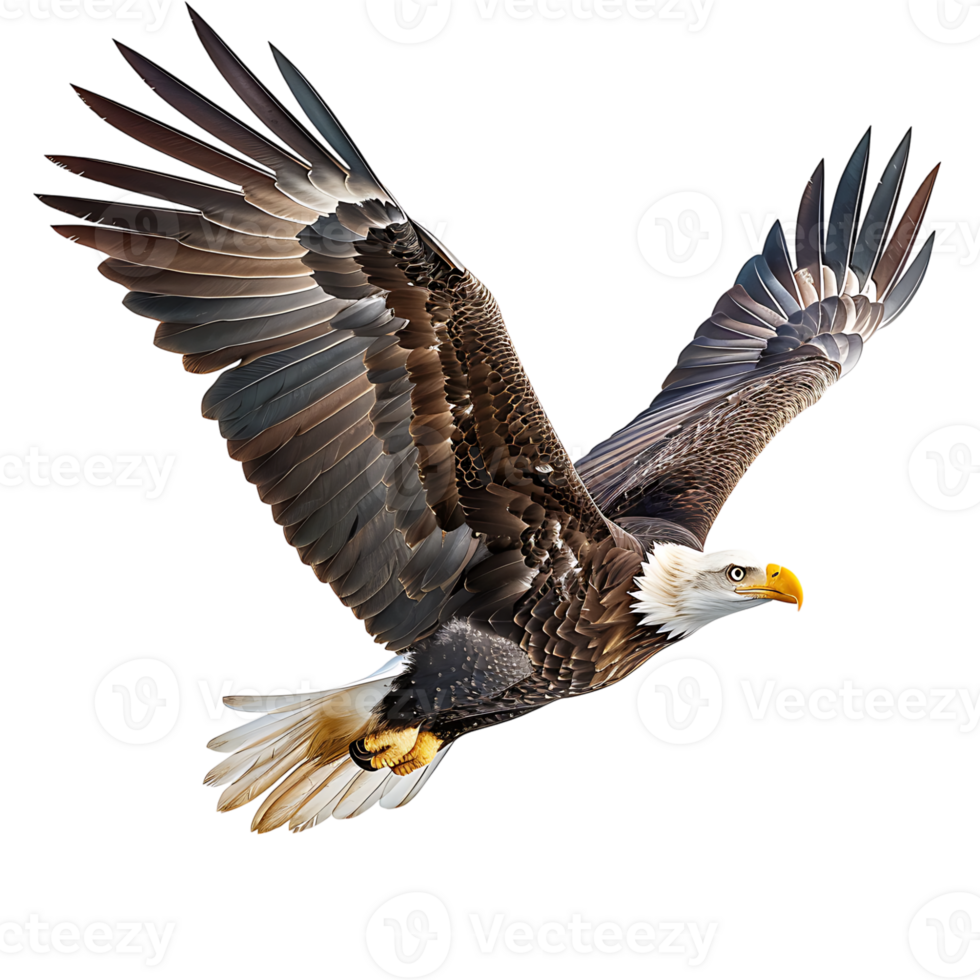 Bald eagle flying on isolated transparent background png