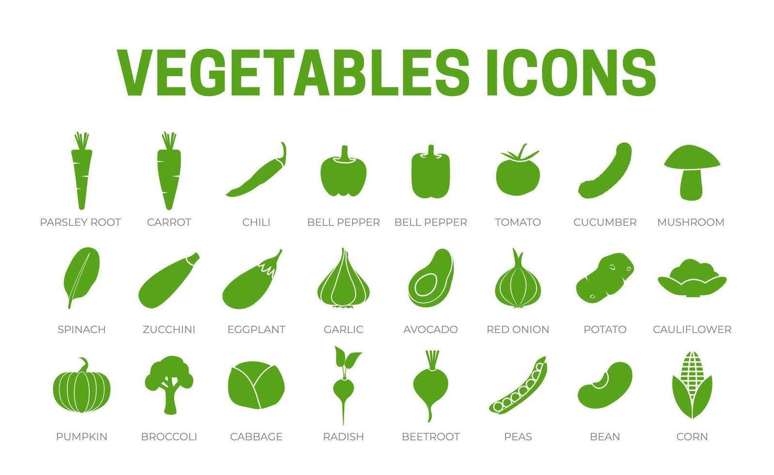 Green Vegetables Icon Set of Parsey Root, Carrot, Chilli, Paprika, Pepper, Tomato, Cucumber, Mushroom, Spinach, Zucchini, Eggplant, Garlic, Onion, Broccoli, Cabbage, Radish, Beetroot, Corn Icons. vector
