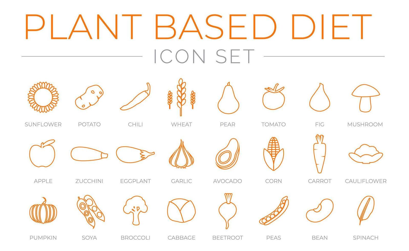 Thin Outline Plant Based Diet Icon Set of Sunflower, Potato, Wheat, Tomato, Fig, Eggplant, Garlic, Corn, Carrot, Cauliflower, Pumpkin, Soya, Broccoli, Cabbage, Beetroot, Peas, Bean, Spinach Icons. vector