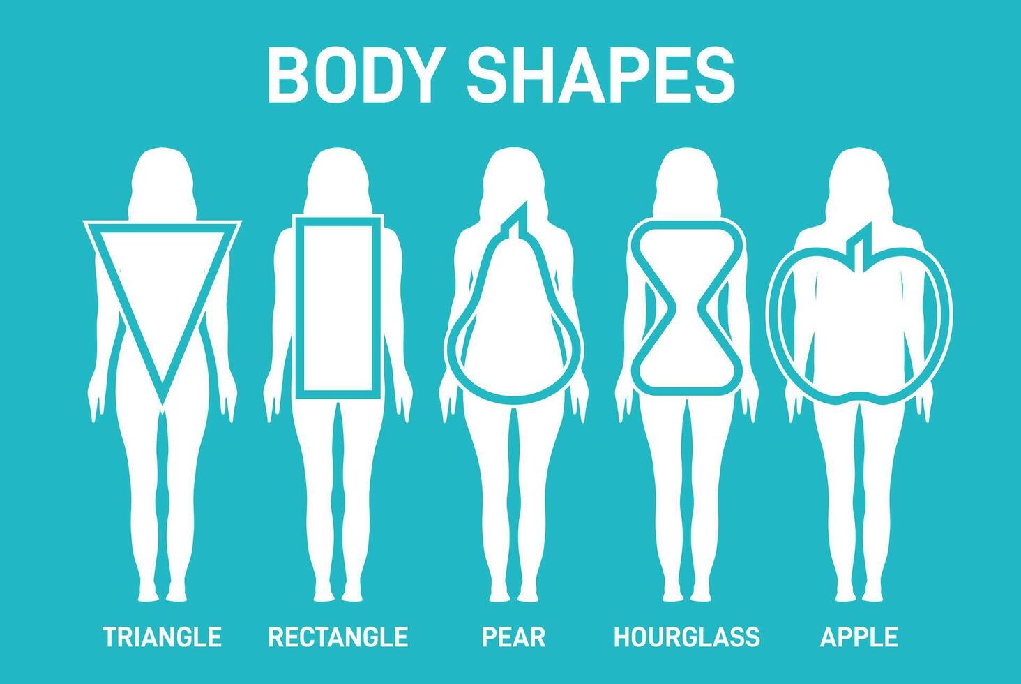 Woman Body Shapes Triangle, Rectangle, Apple, Pear and Hourglass vector