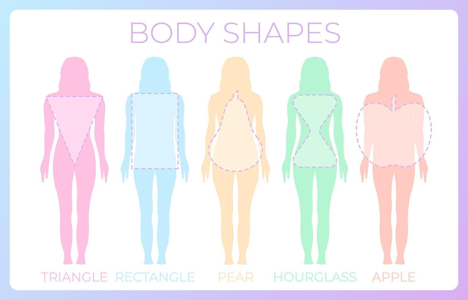 Woman Body Shape Background Illustration vector