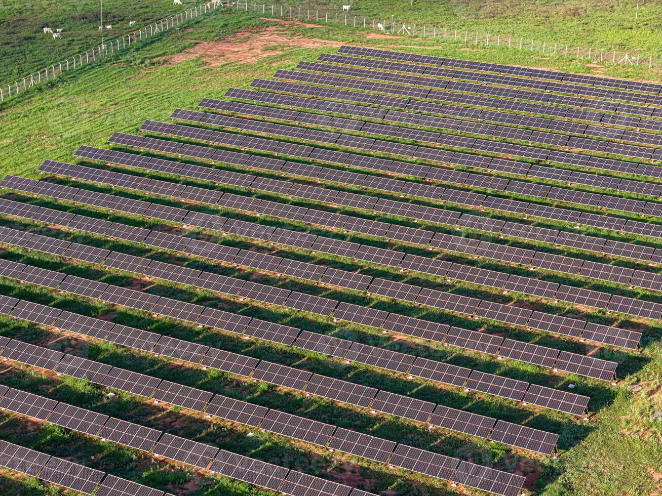 solar energy plant in rural area photo