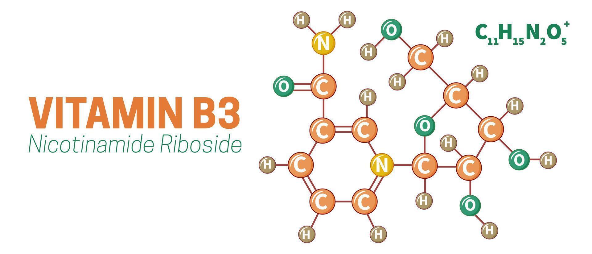 vitamina b3 nicotinamida ribósido molécula ilustración vector