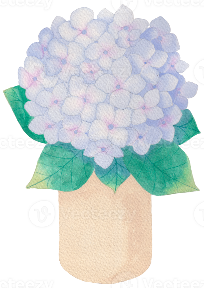 Hand-Drawn Blooming Flower - Spring Flower Illustration png