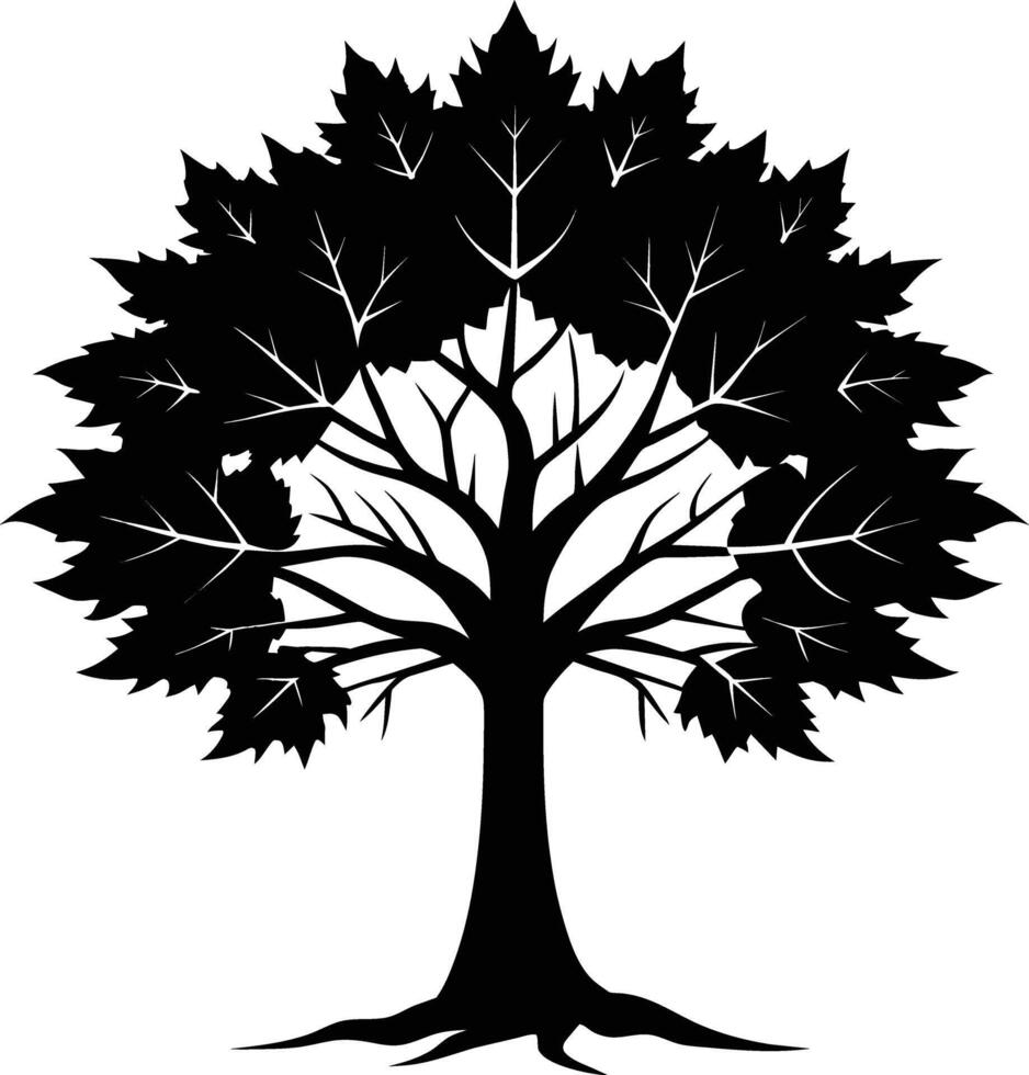 A black and white silhouette of a maple tree vector