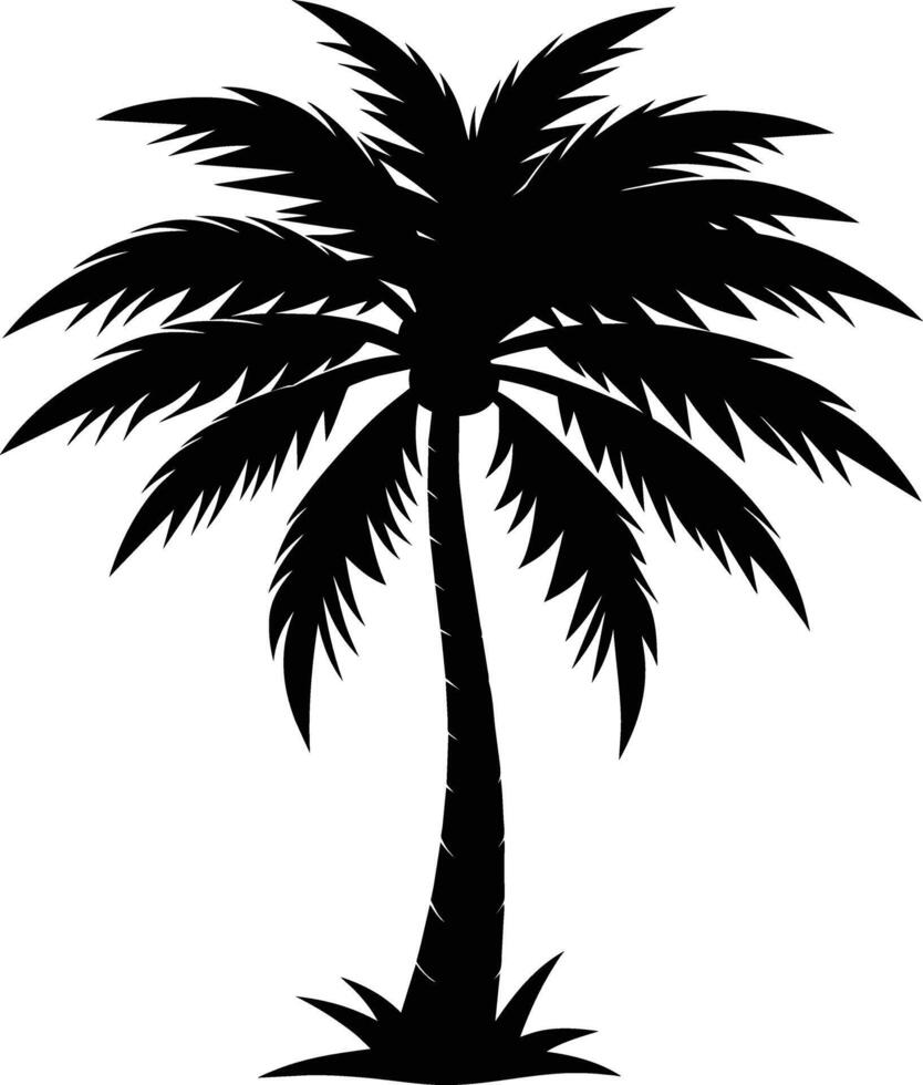 A stunning palm tree silhouette captured in timeless beauty vector