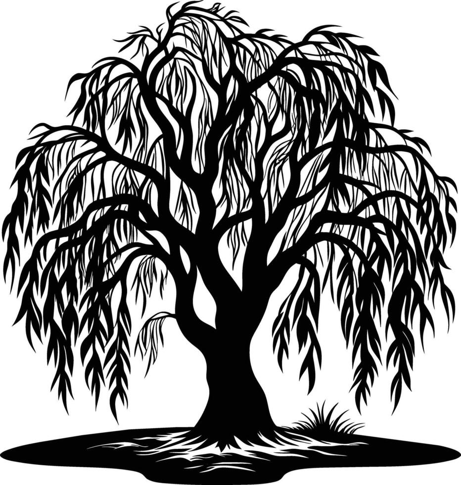 A black and white silhouette of a willow tree vector