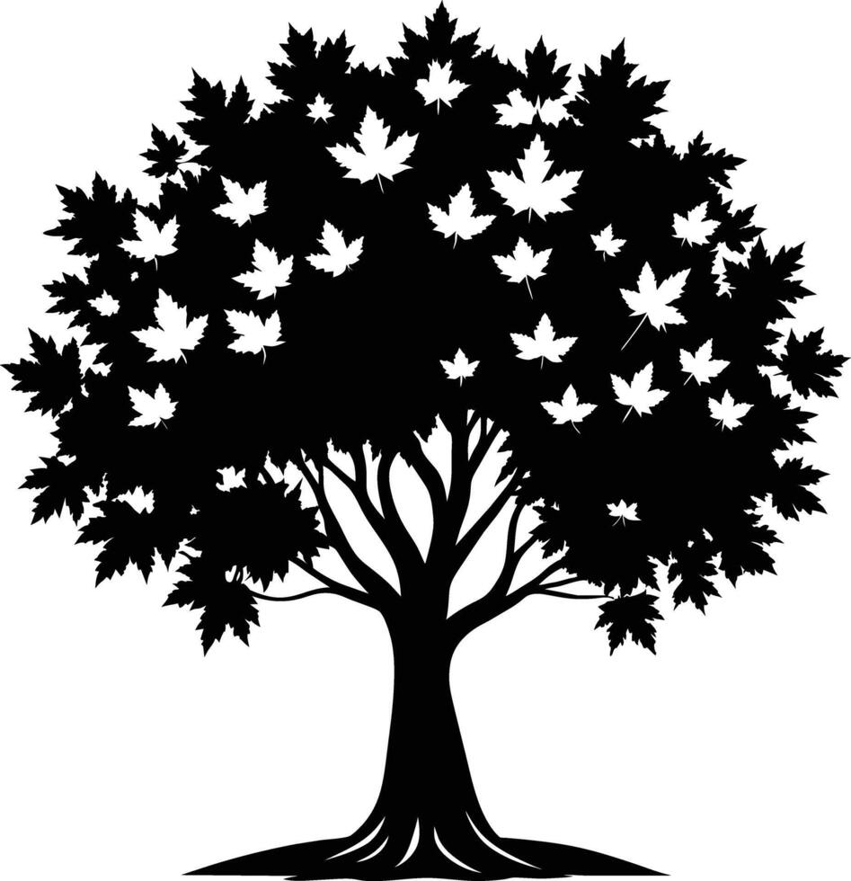 A black and white silhouette of a maple tree vector
