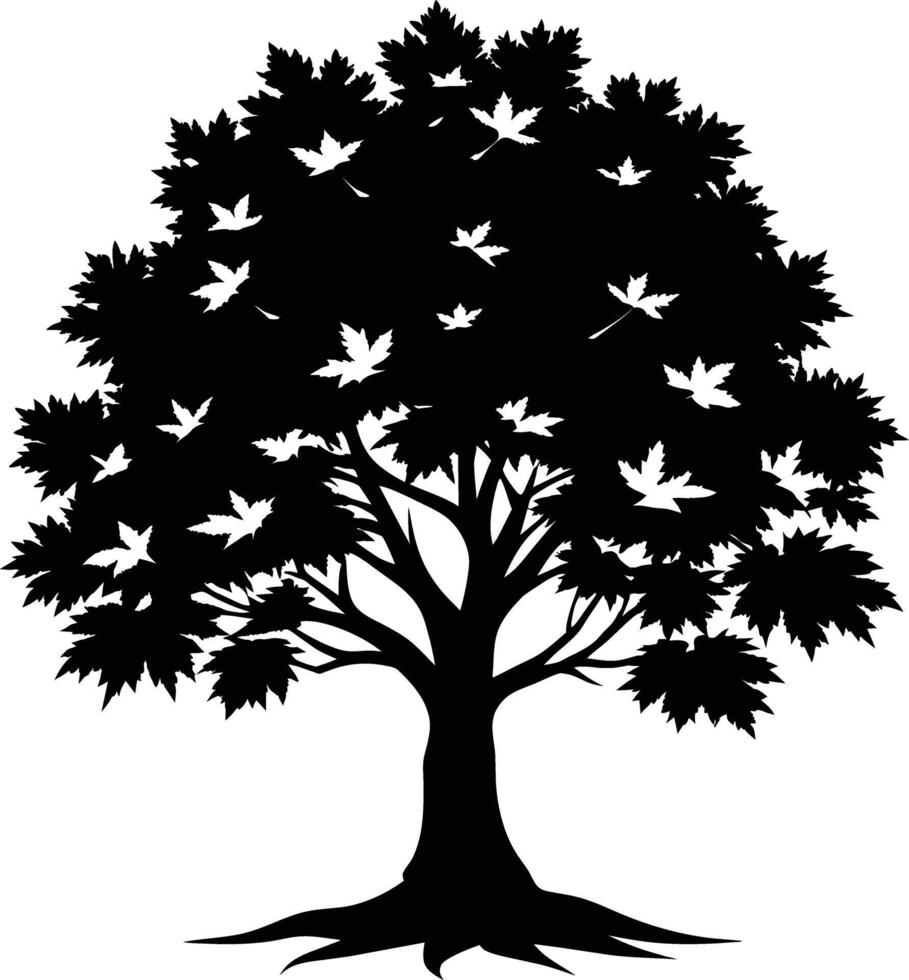 A black and white silhouette of a maple tree vector