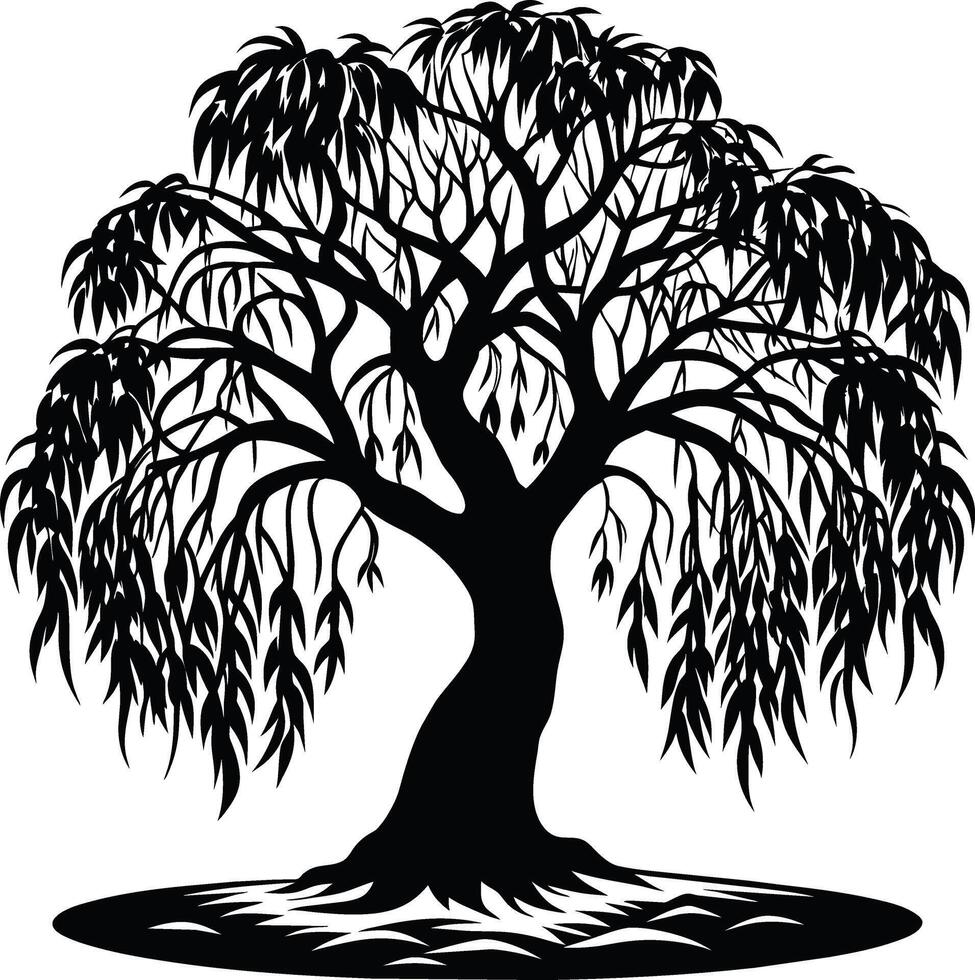 A black and white silhouette of a willow tree vector