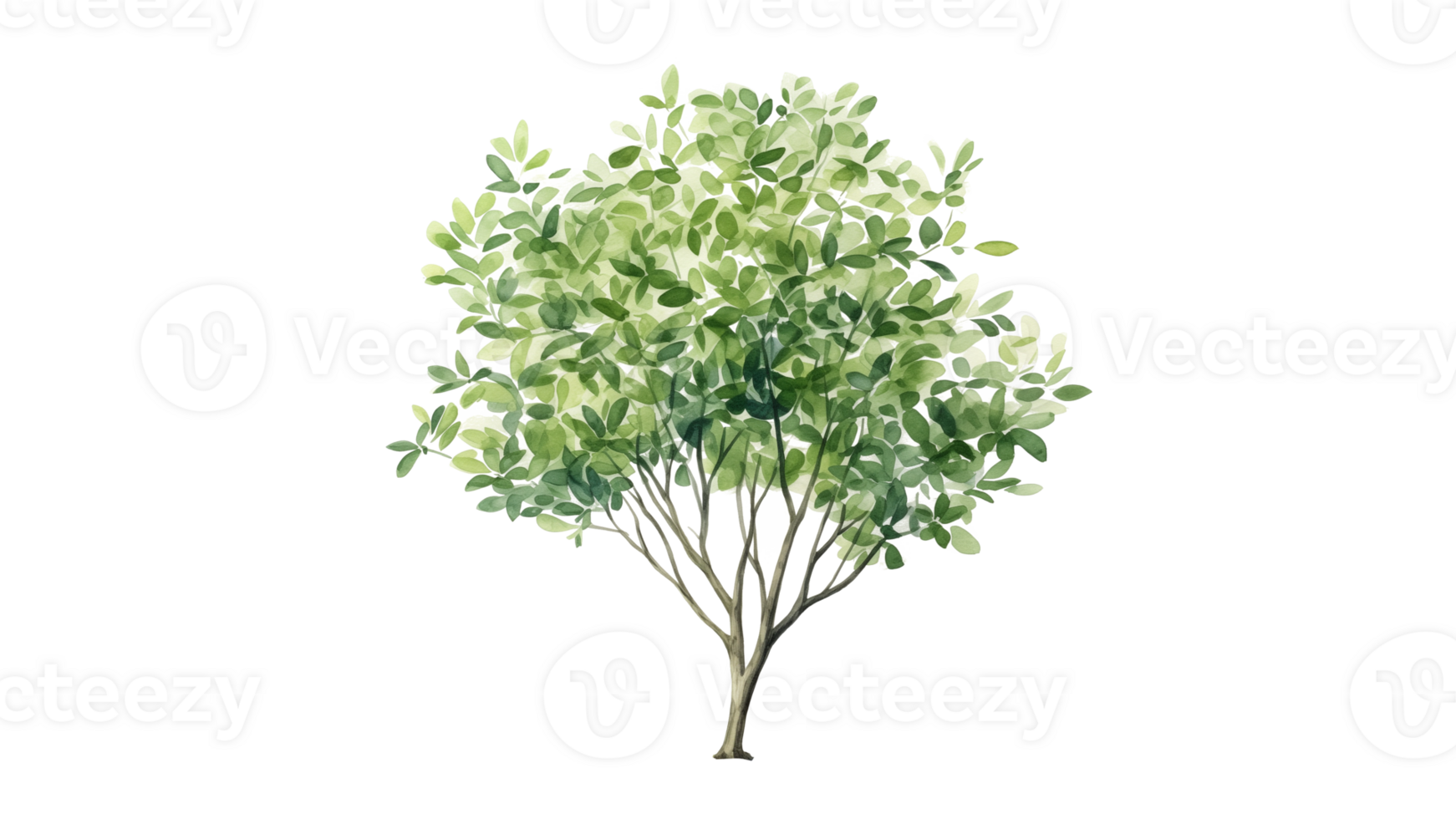 Green watercolor tree cut out. Green tree in watercolor on transparent background png