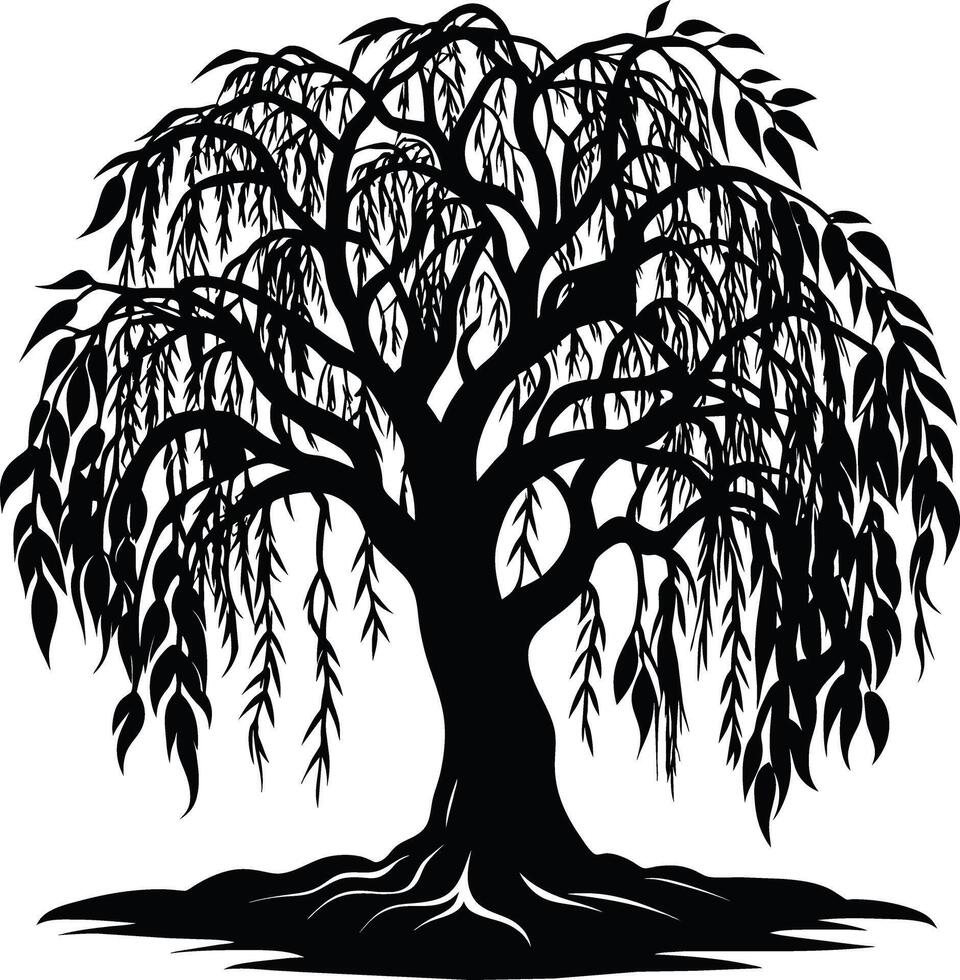 A black and white silhouette of a willow tree vector