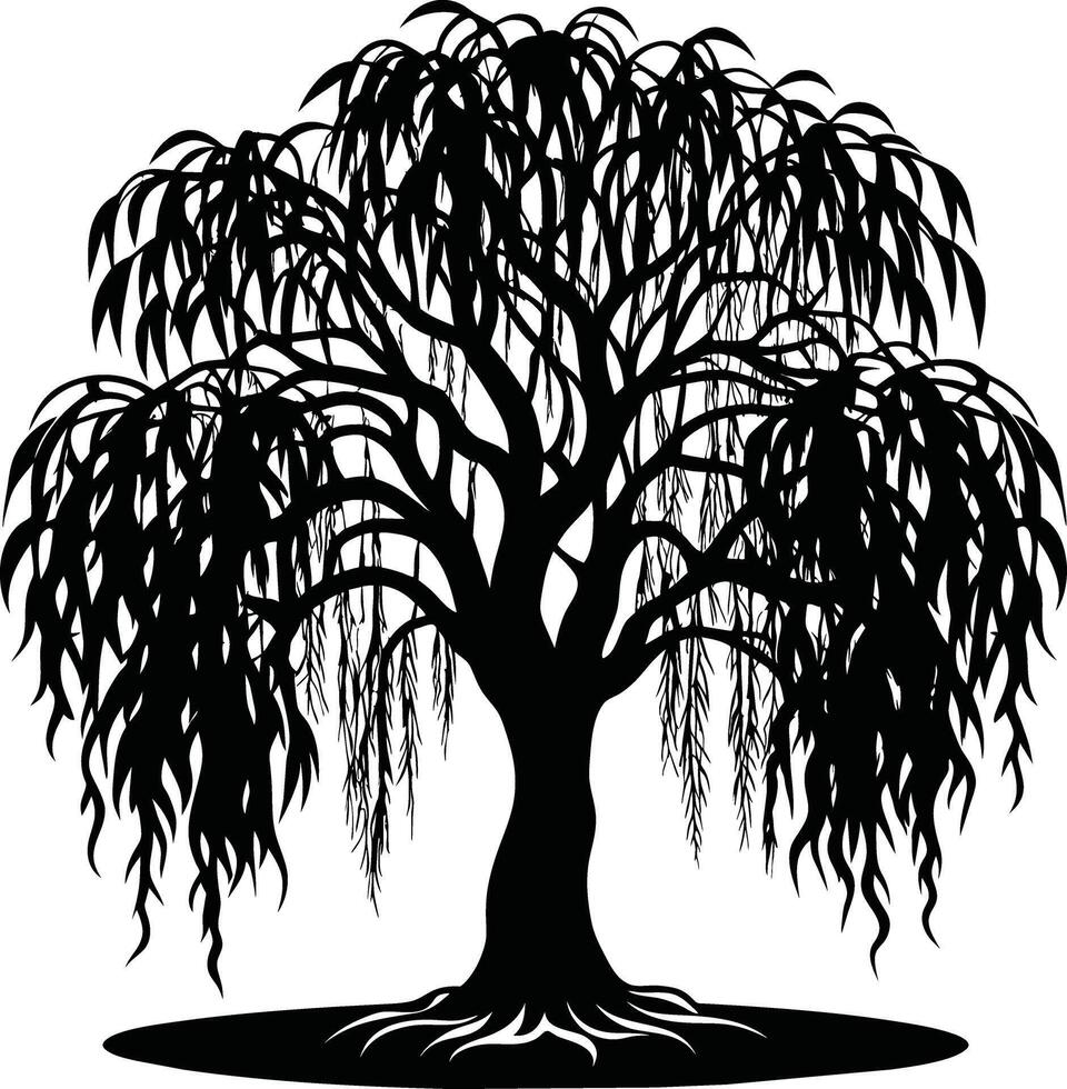 A black and white silhouette of a willow tree vector