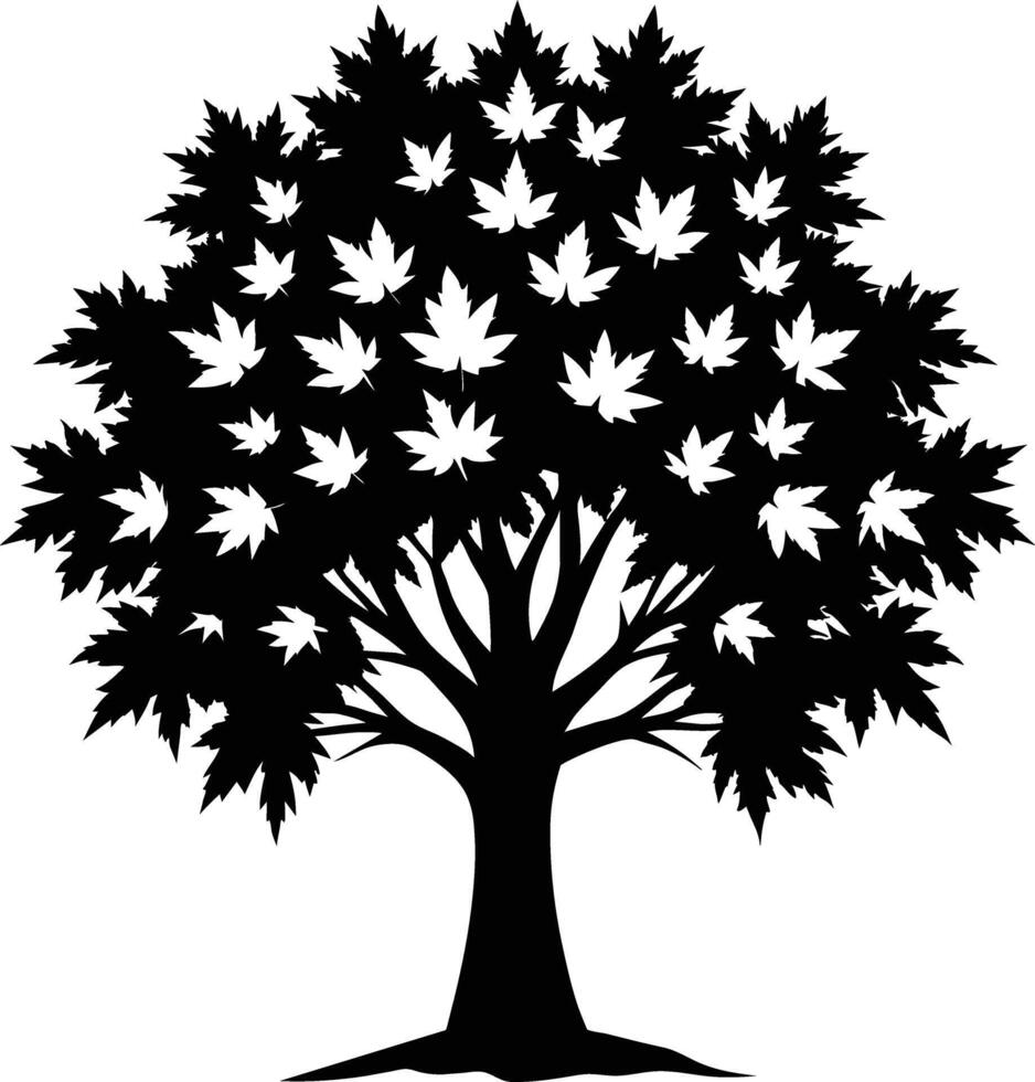 A black and white silhouette of a maple tree vector