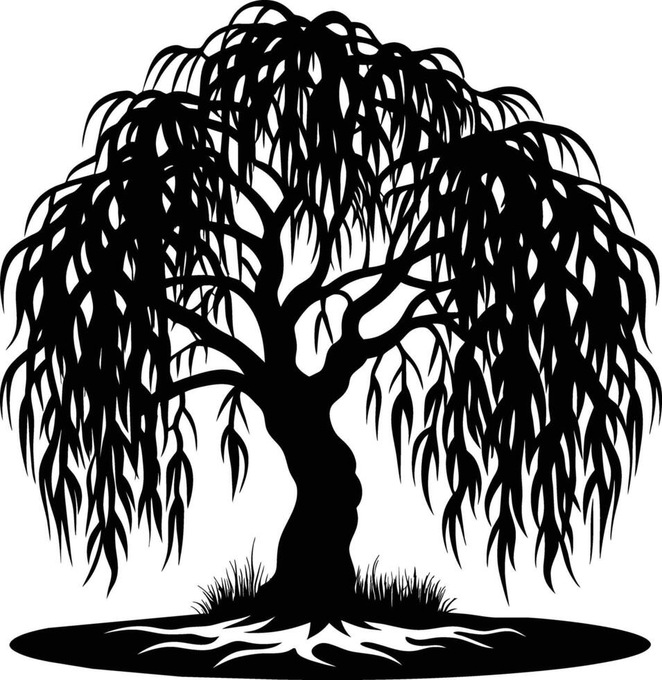 A black and white silhouette of a willow tree vector