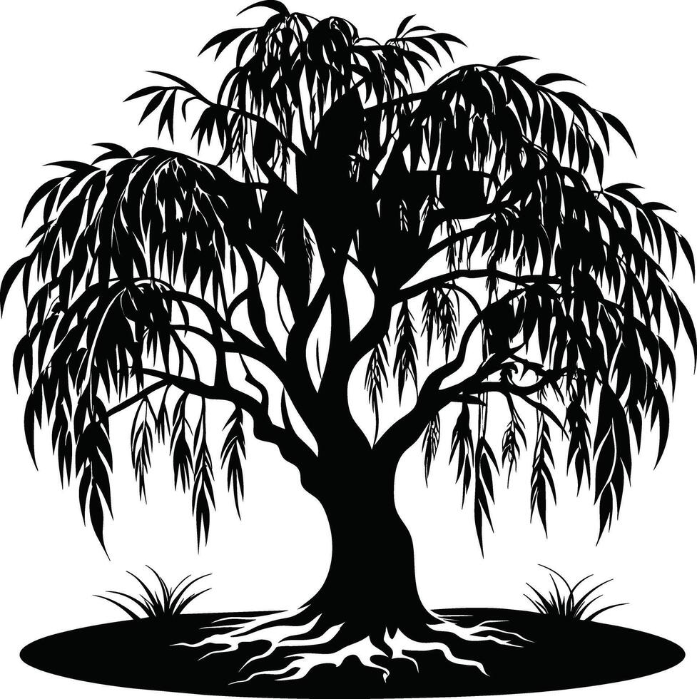 A black and white silhouette of a willow tree vector