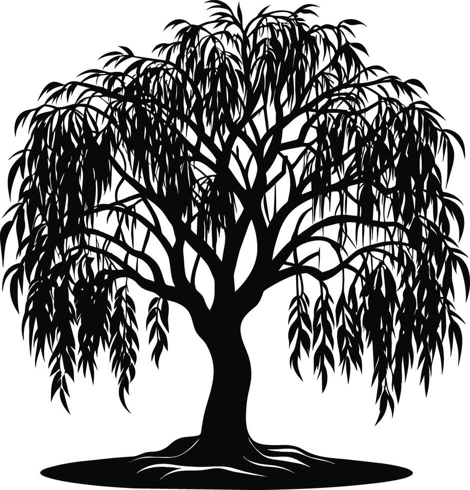 A black and white silhouette of a willow tree vector