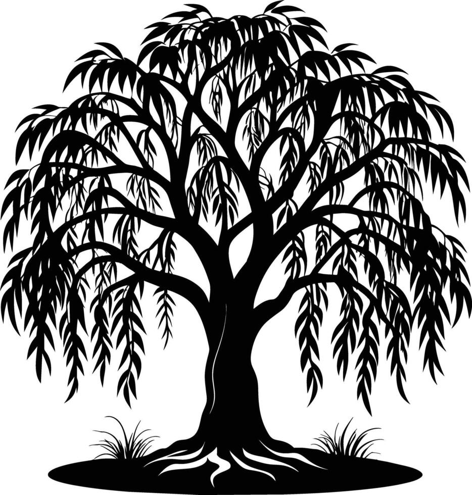 A black and white silhouette of a willow tree vector
