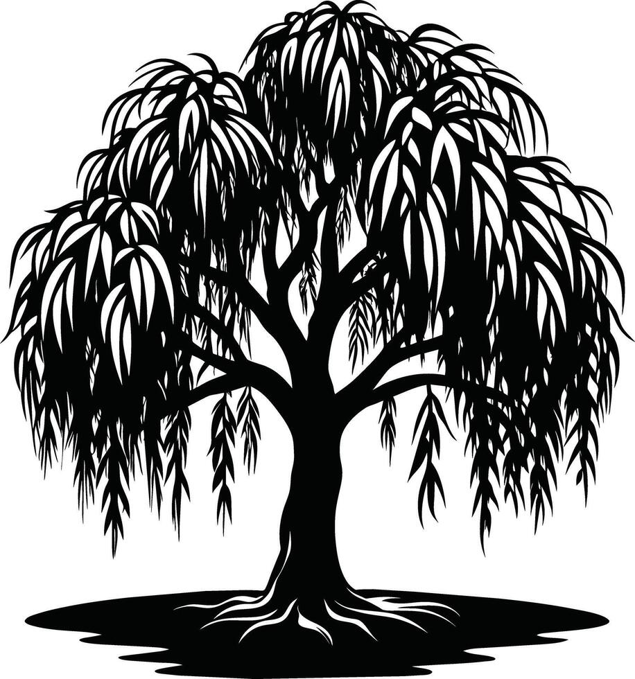 A black and white silhouette of a willow tree vector
