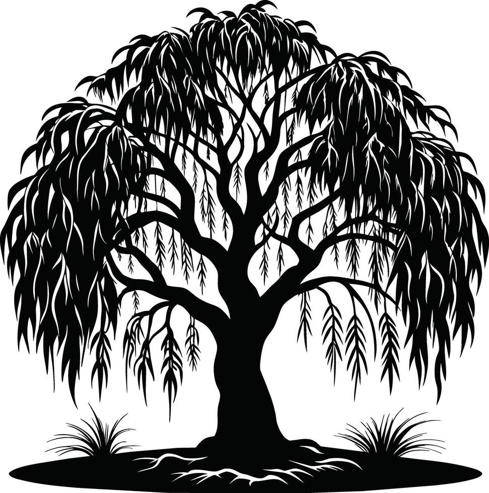 A black and white silhouette of a willow tree vector