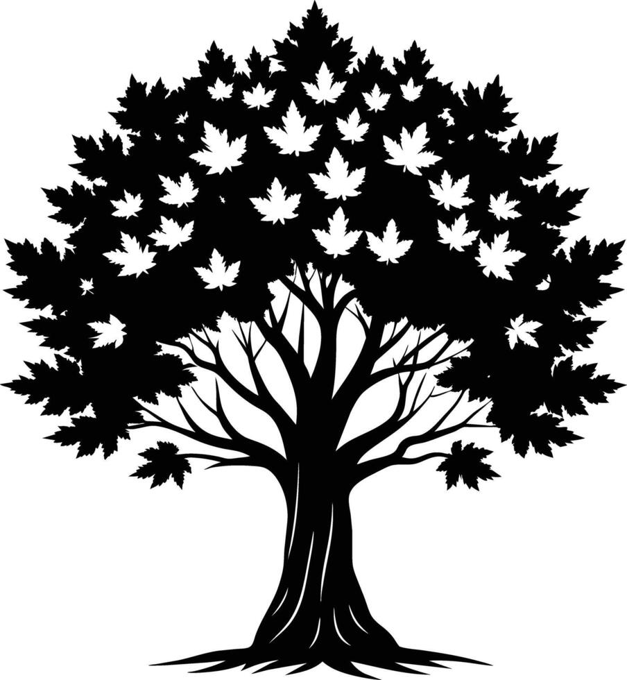 A black and white silhouette of a maple tree vector