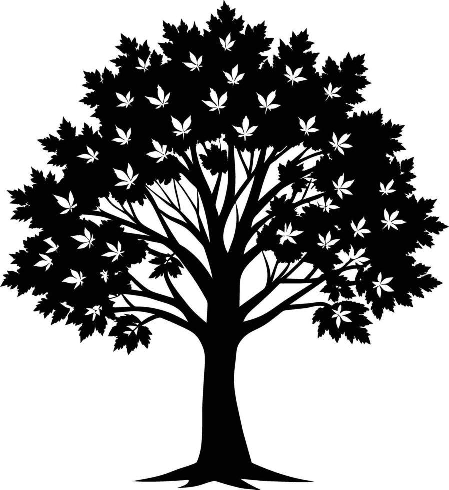 A black and white silhouette of a maple tree vector