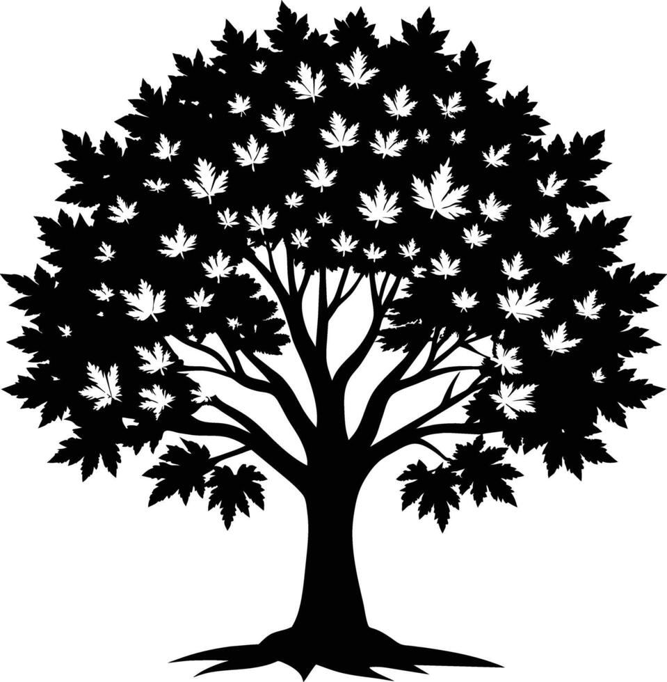 A black and white silhouette of a maple tree vector