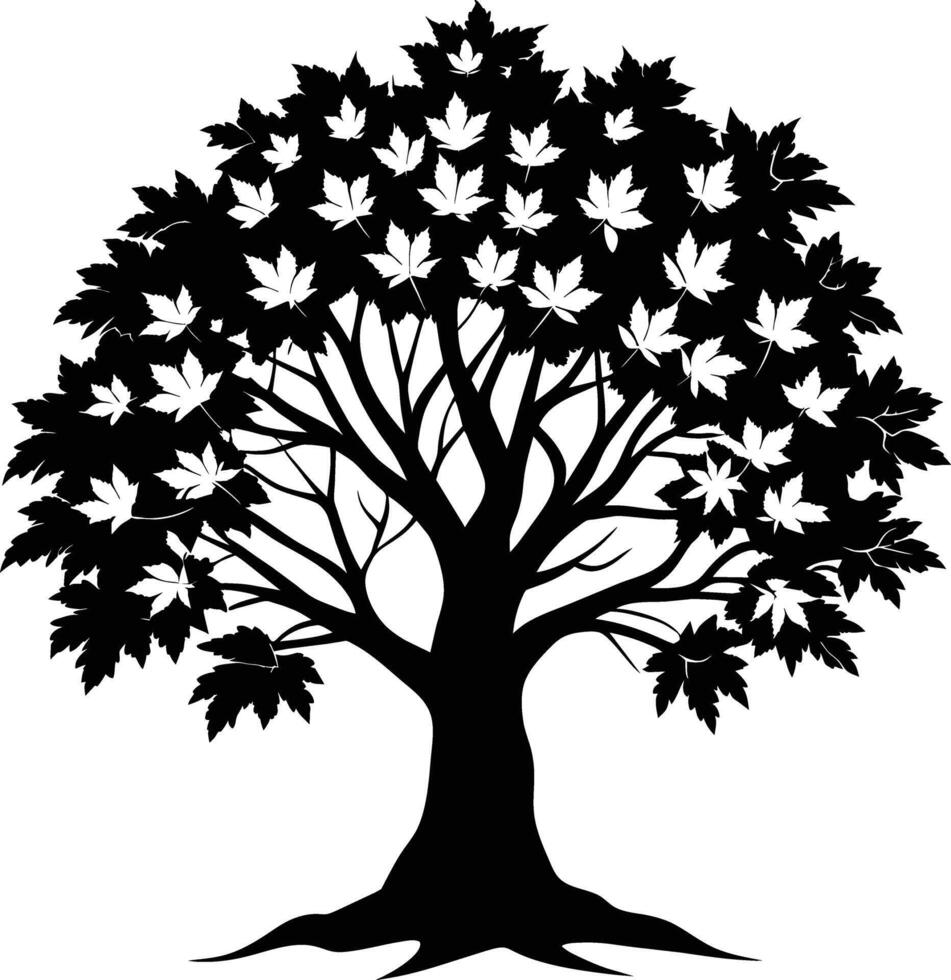 A black and white silhouette of a maple tree vector