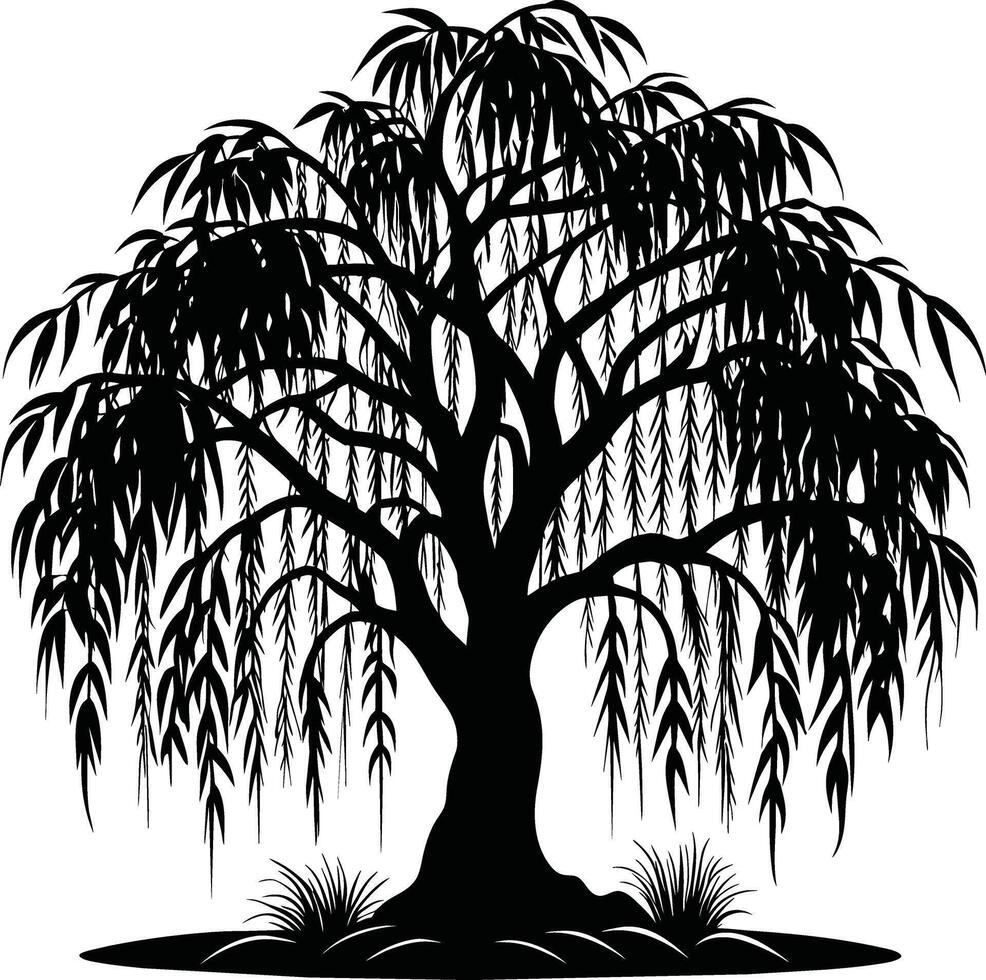 A black and white silhouette of a willow tree vector