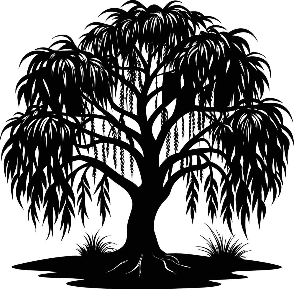 A black and white silhouette of a willow tree vector