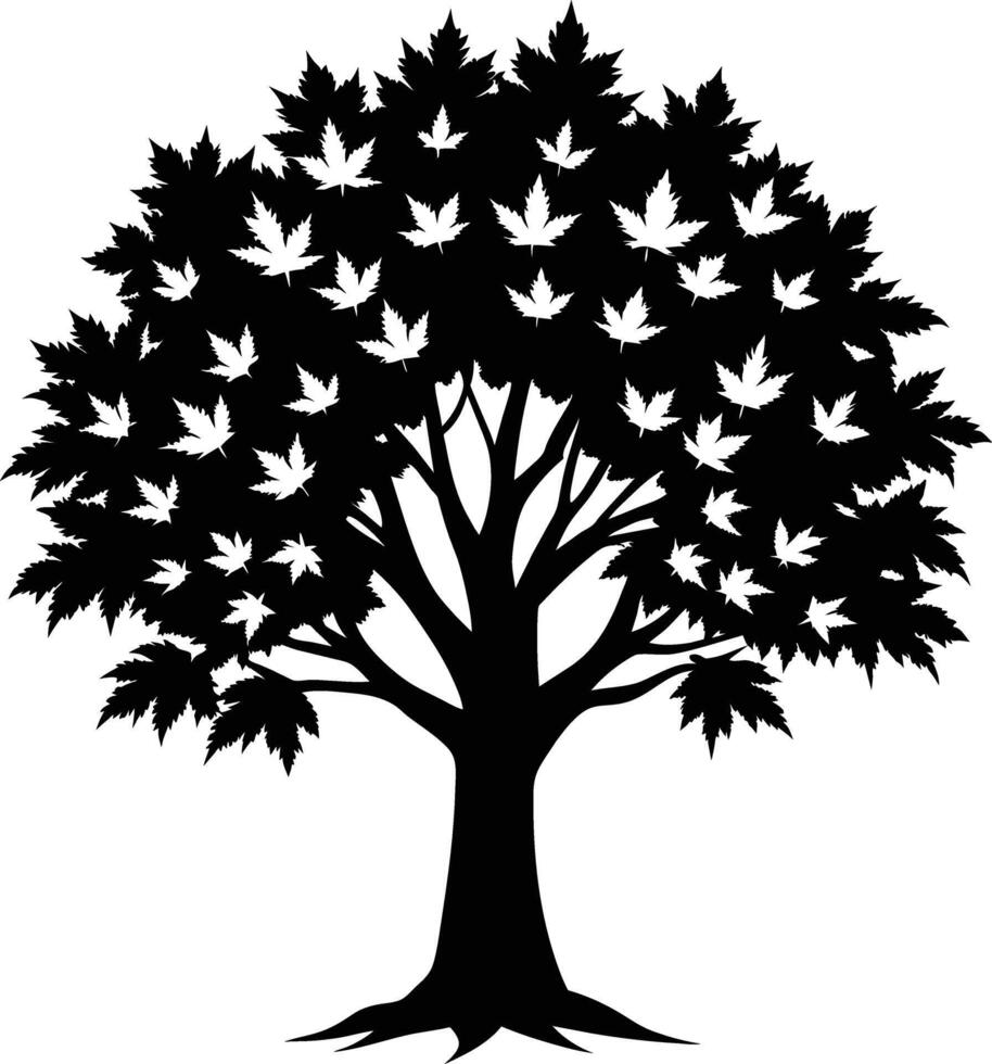 A black and white silhouette of a maple tree vector