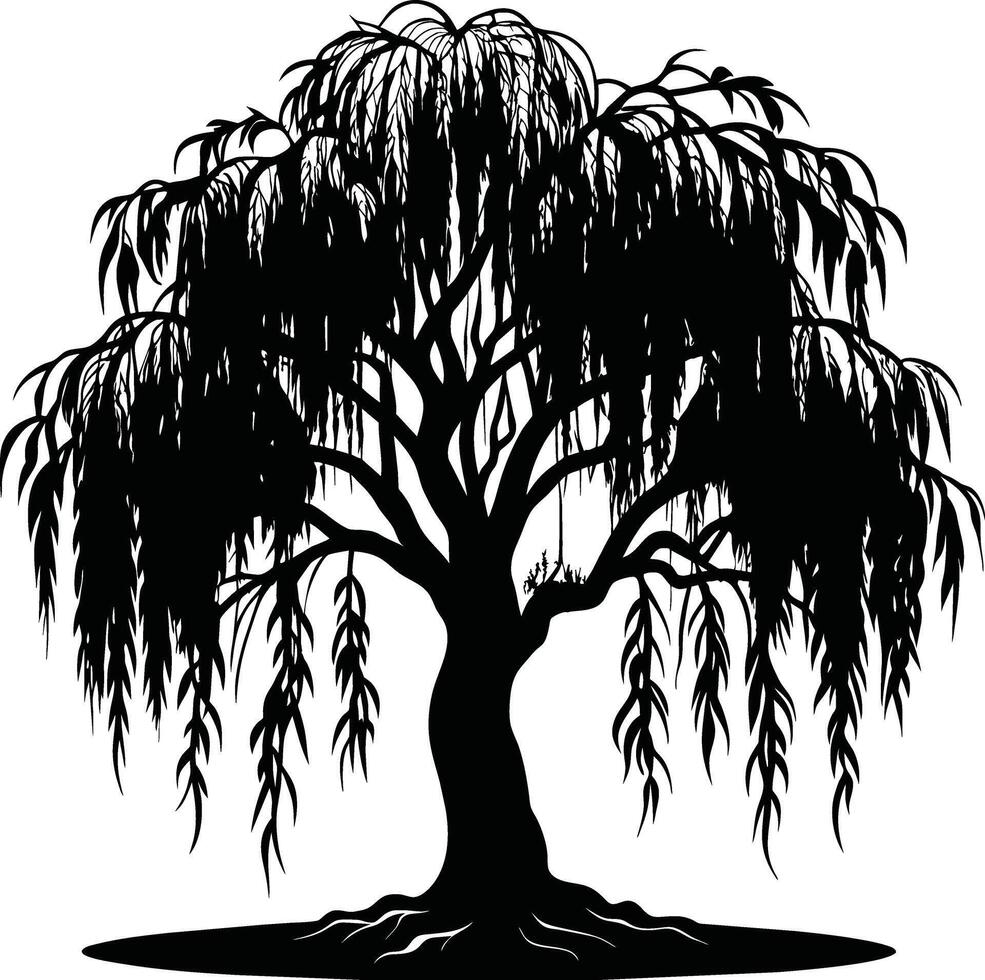 A black and white silhouette of a willow tree vector