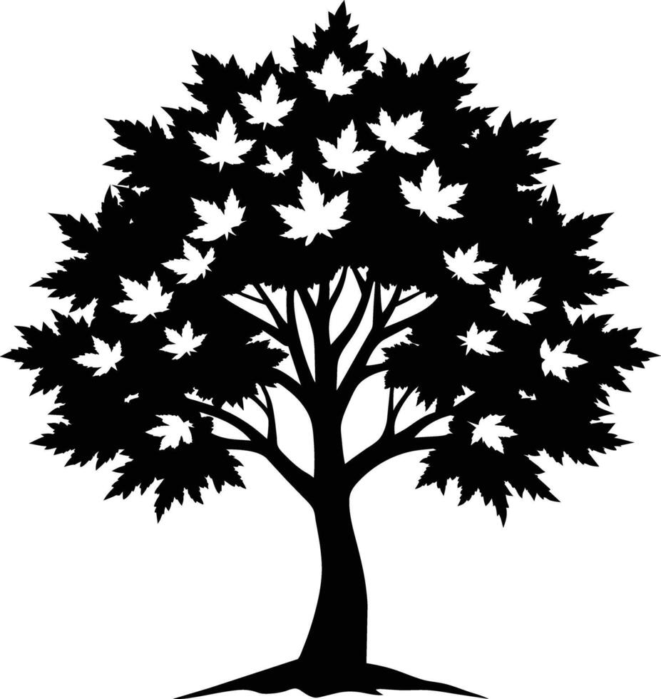 A black and white silhouette of a maple tree vector