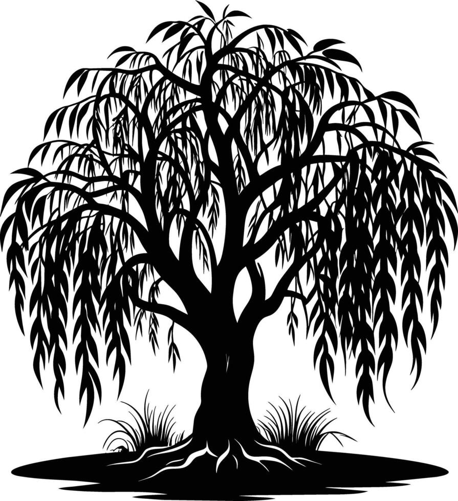 A black and white silhouette of a willow tree vector