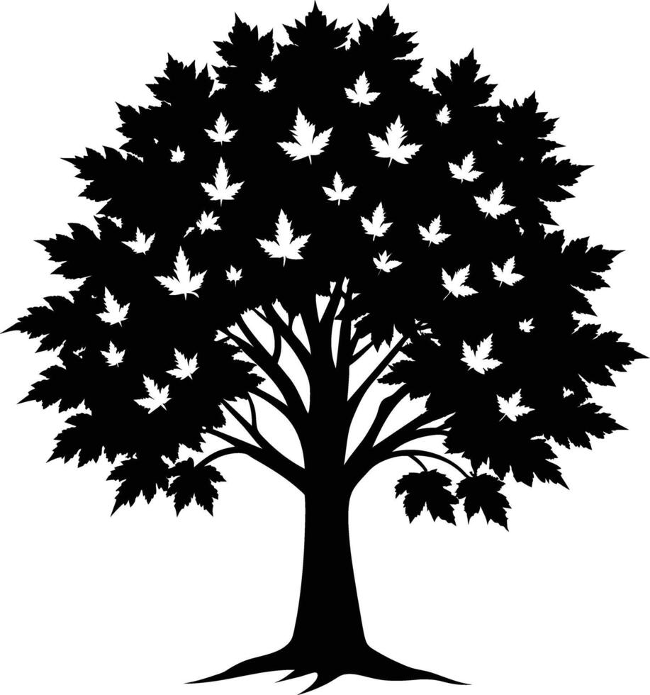 A black and white silhouette of a maple tree vector